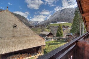Property grounds - 200m from ski slopes, 1st floor, terrace, balcony, fireplace or stove, parking, tv, ski locker (Morzine)