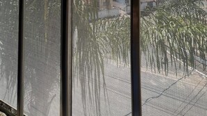 A window with a grid pattern, through which a landscape with trees and a building is visible. - Hotel e Restaurante Roseira (Roseira)