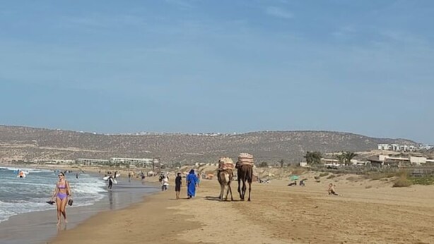 A beach with people walking, a camel, and a bus in the background.