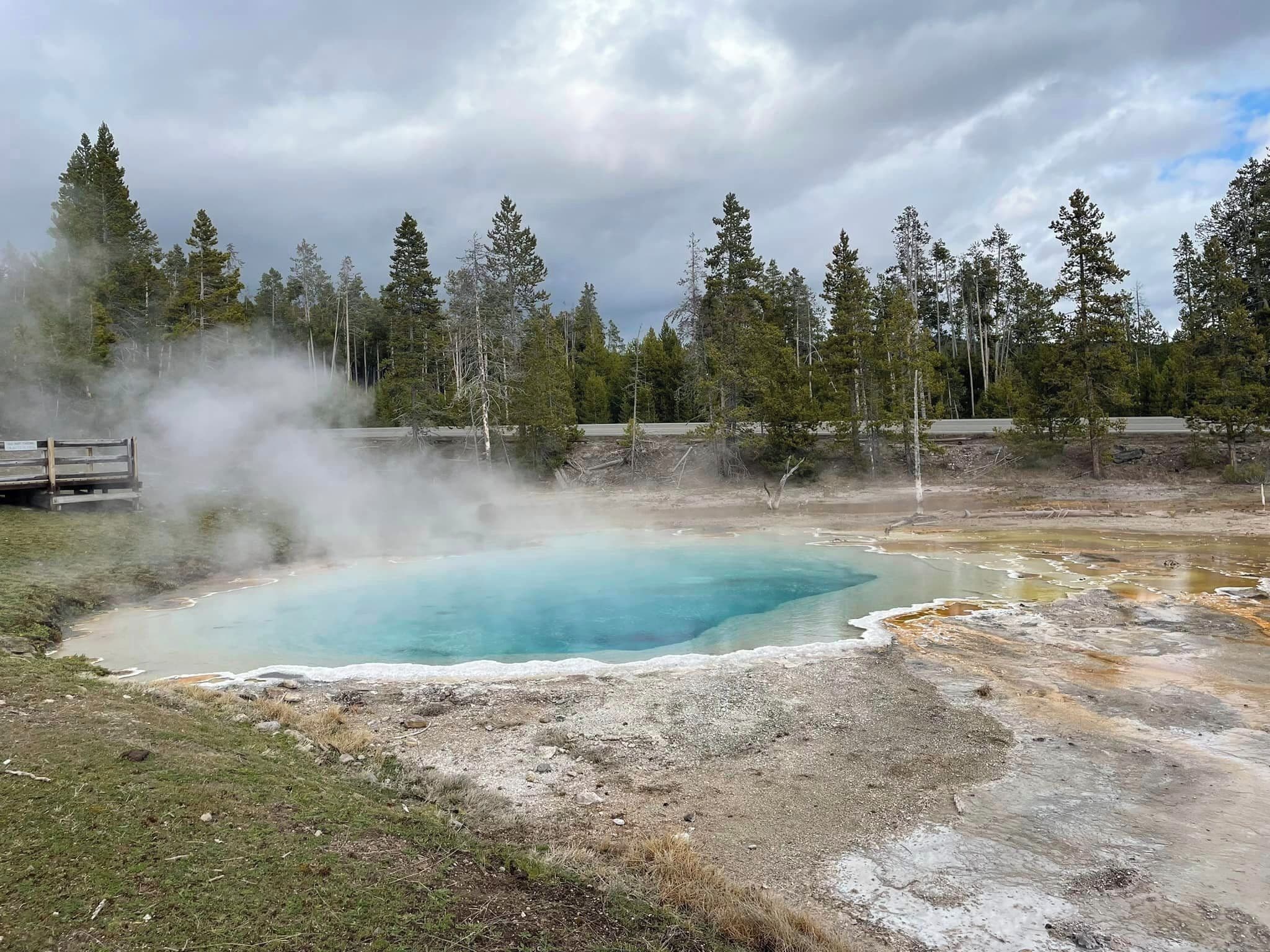 A geothermal hot spring surrounded by trees and a wooden viewing platform.