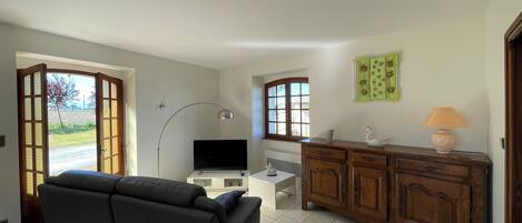 TV, fireplace, books