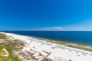 On the beach - 1106D sleep 10 newly furnished /new cabinets 11th floor Gulf front. K,K,2full,ss (Orange Beach)