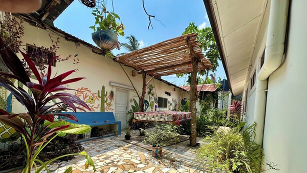 A courtyard with a mosaic floor, a blue bench, a hanging plant, and a wooden pergola. - Mama's House (Zanzibar Town)