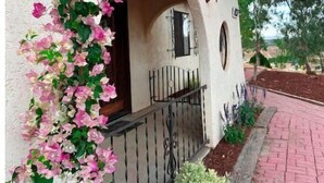 A building with a stucco exterior, a wooden balcony, and a garden with a pink flowering vine.