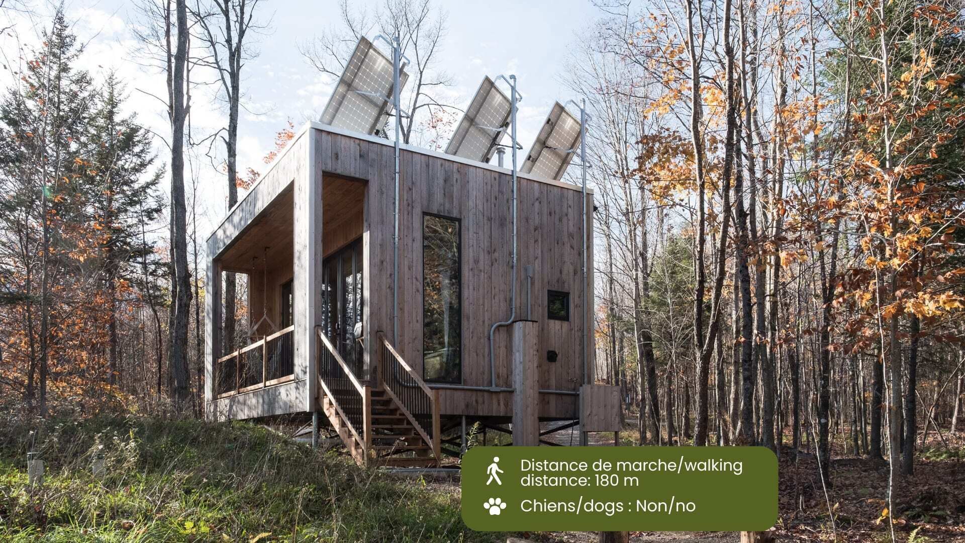 Cabin Zoobox 55 Summa