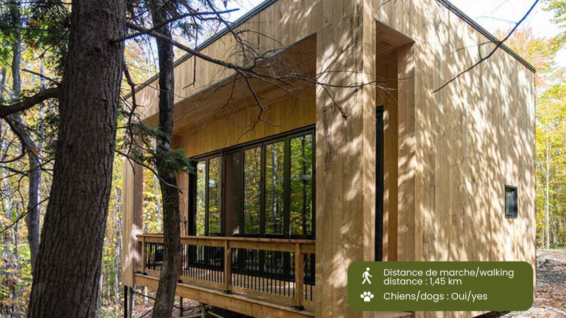 Cabin Zoobox 62 Summa