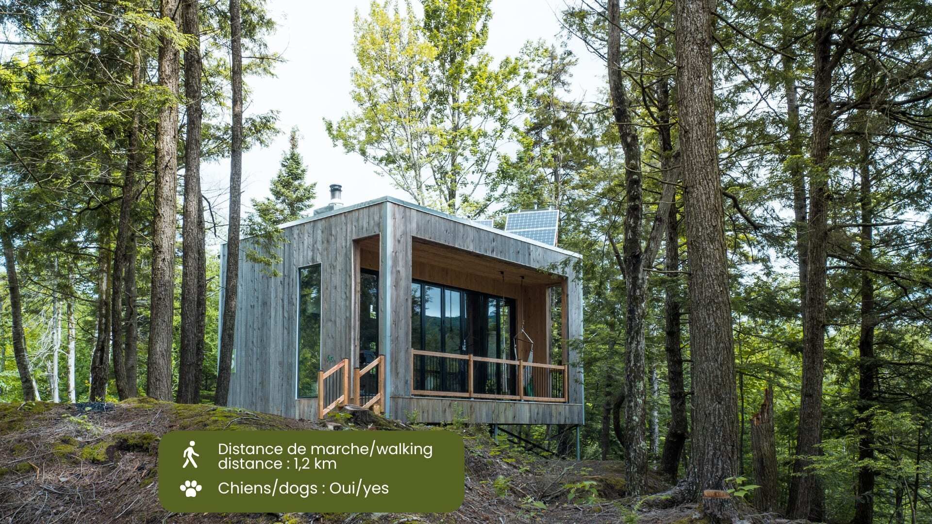Cabin Zoobox 65 Summa