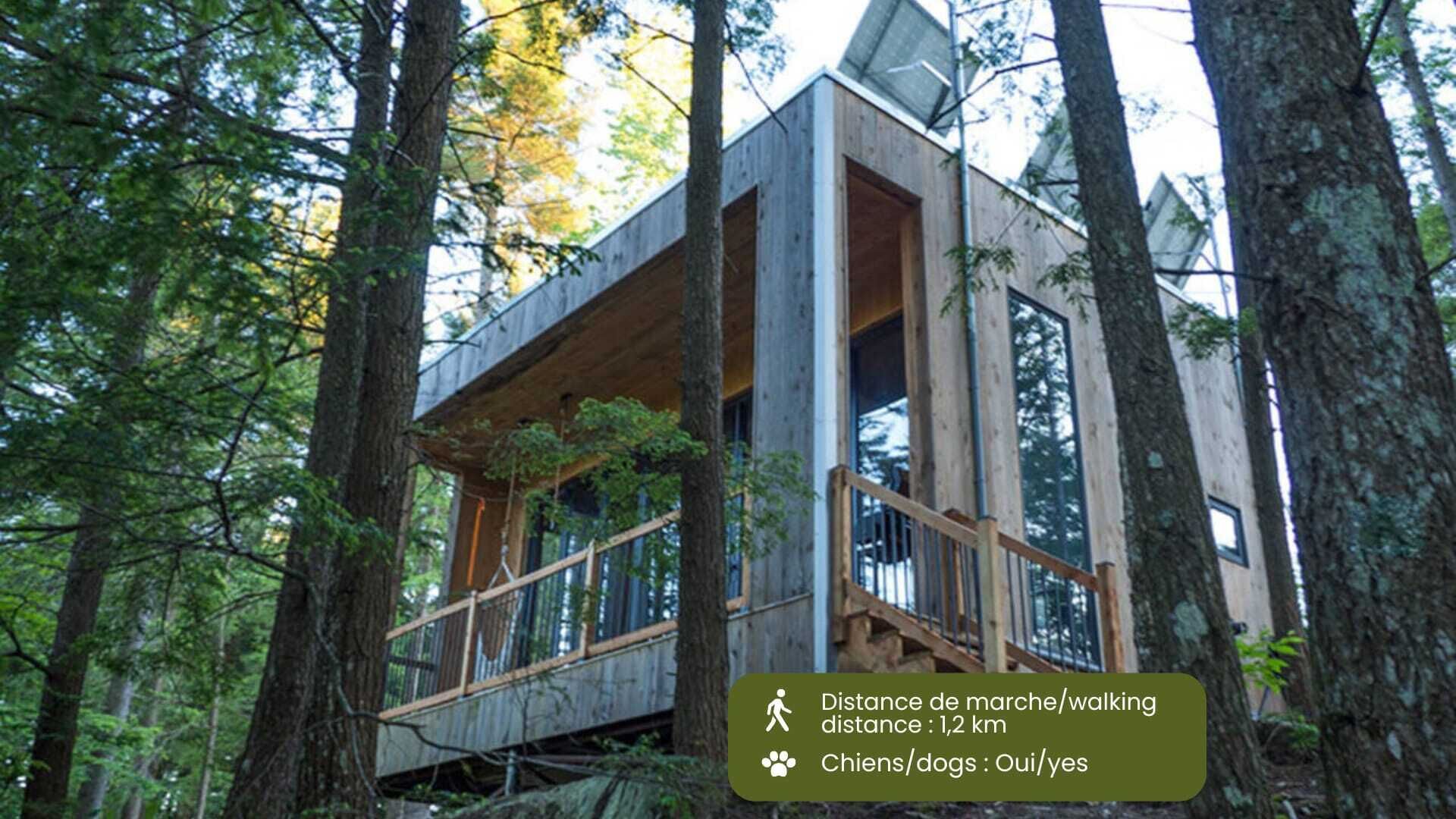 Cabin Zoobox 66 Summa