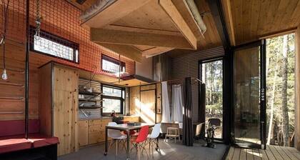 Cabin Zoobox 66 Summa
