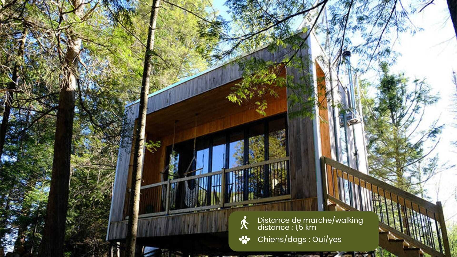 Cabin Zoobox 81 Summa