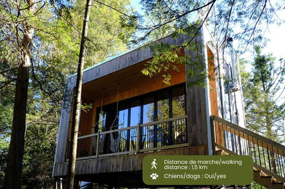 Cabin Zoobox 81 Summa