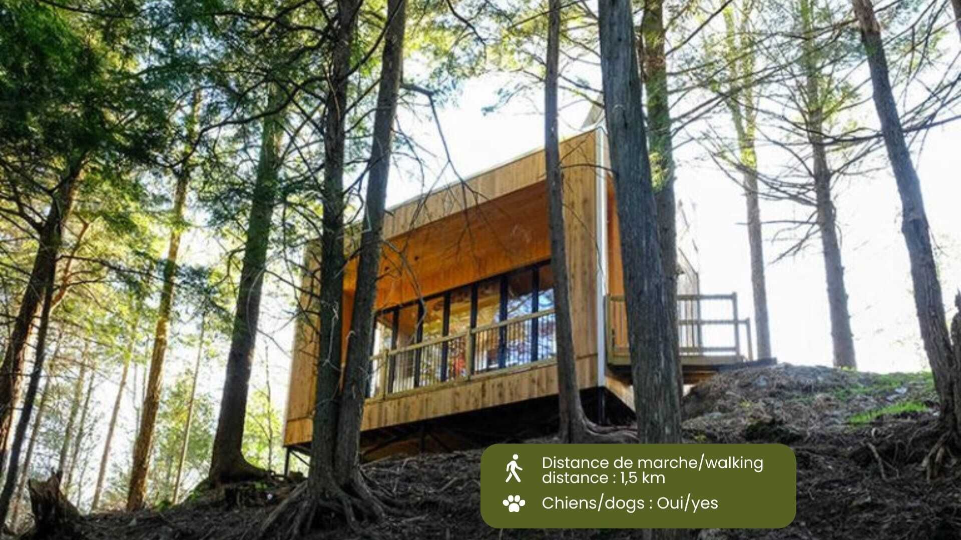Cabin Zoobox 84 Summa
