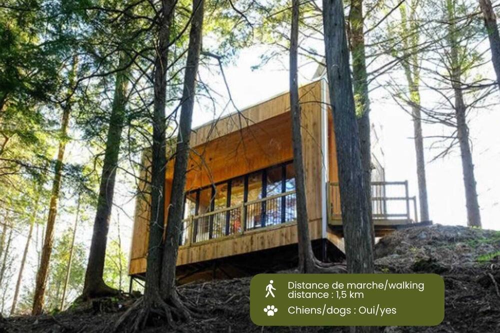 Cabin Zoobox 84 Summa