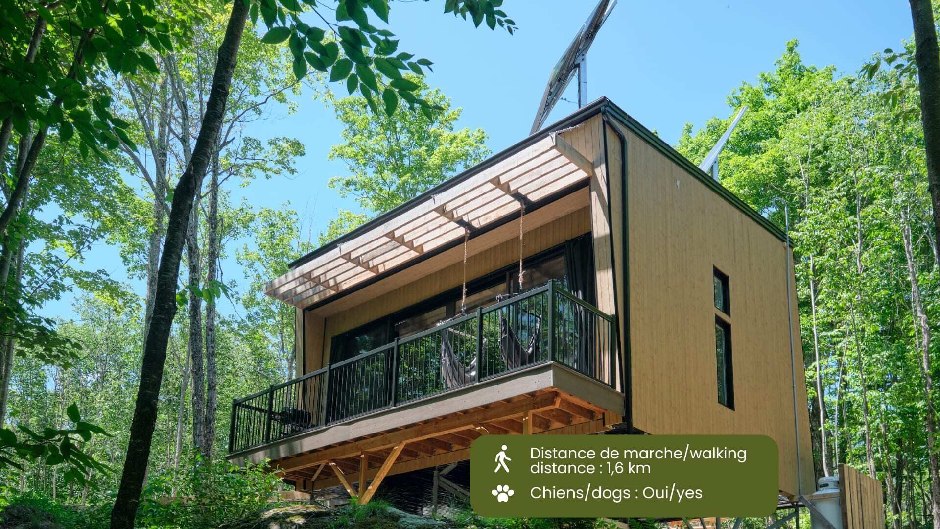 Cabin Zoobox 74 Summa