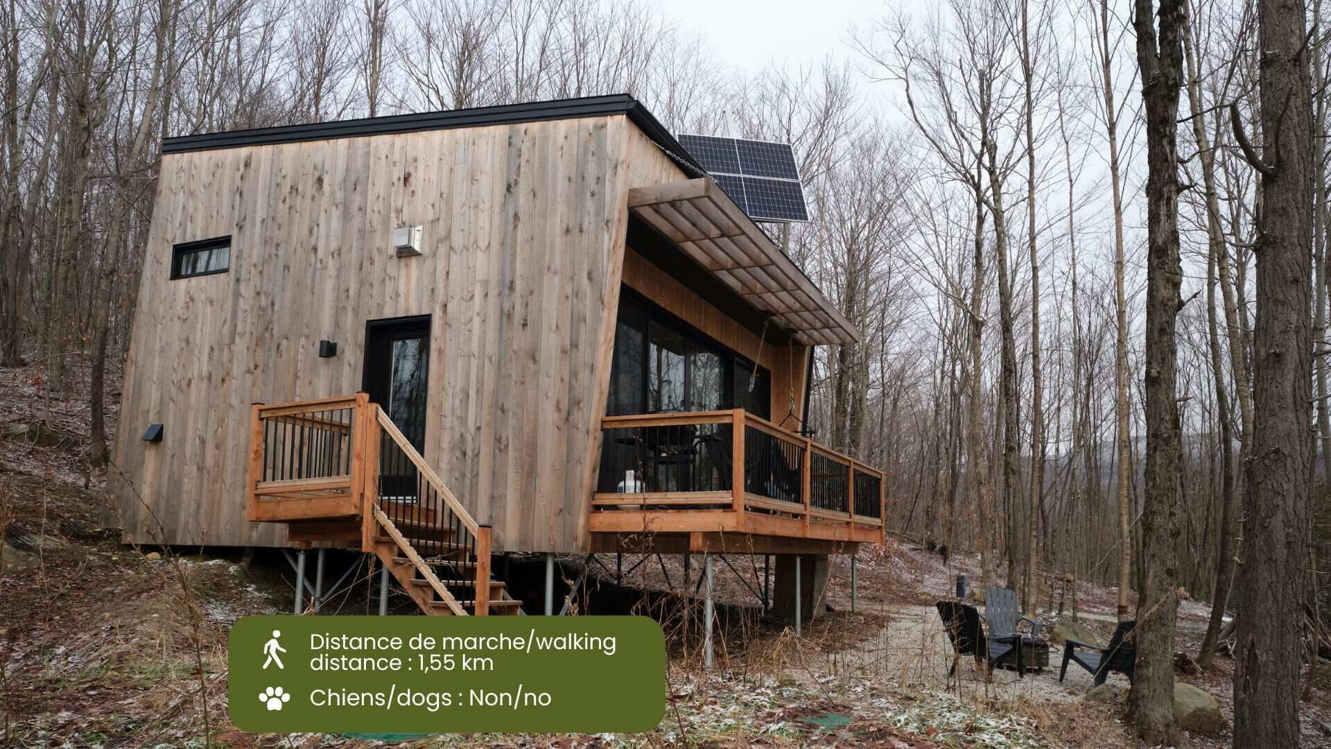 Cabin Zoobox 77 Summa