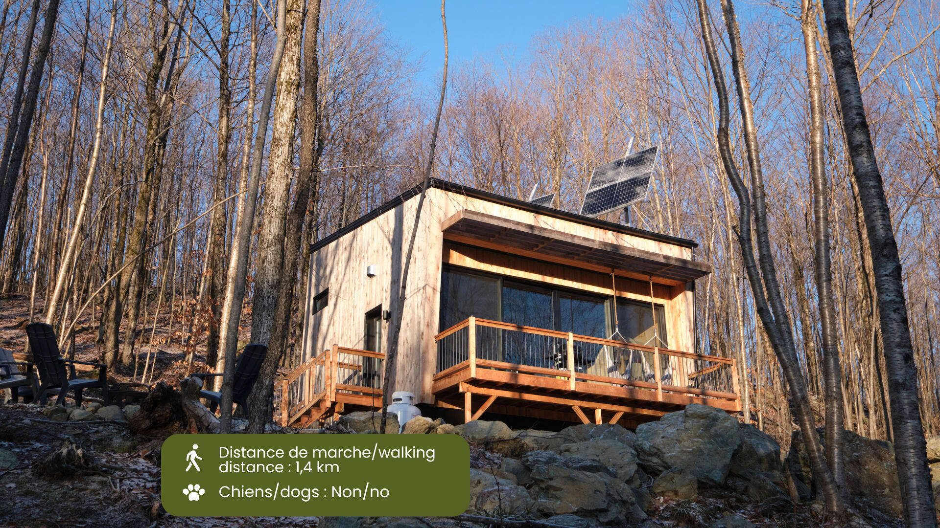 Cabin Zoobox 79 Summa