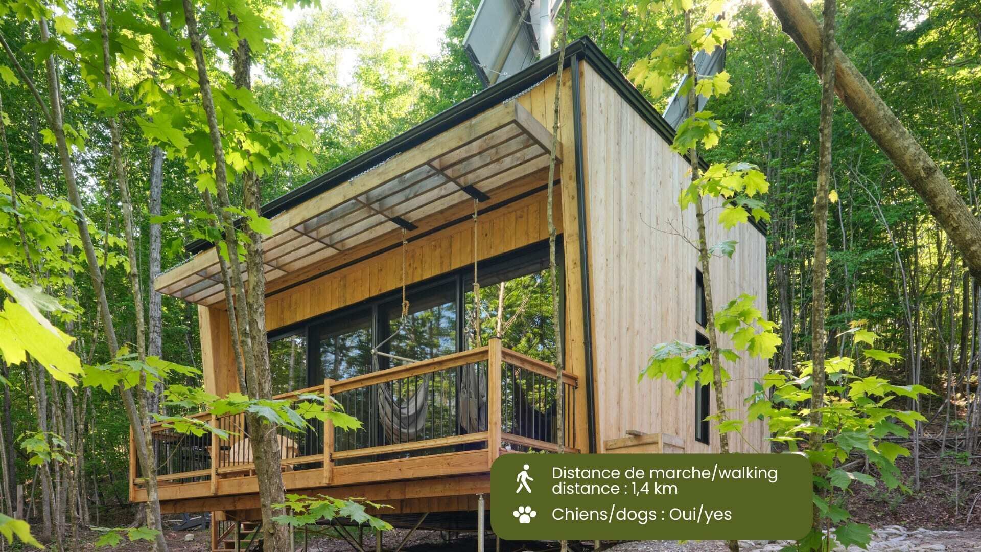 Cabin Zoobox 69 Summa