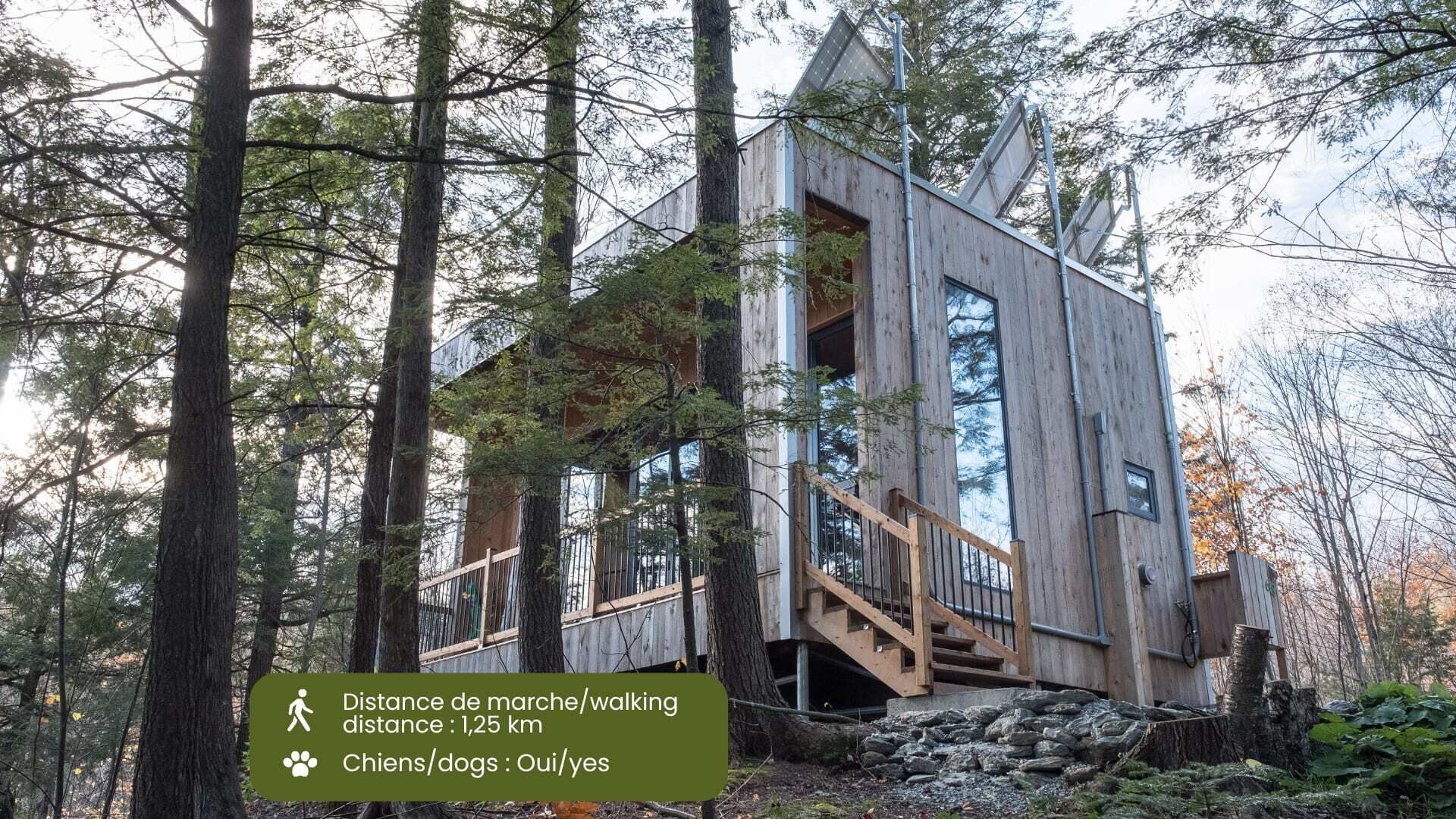 Cabin Zoobox 68 Summa