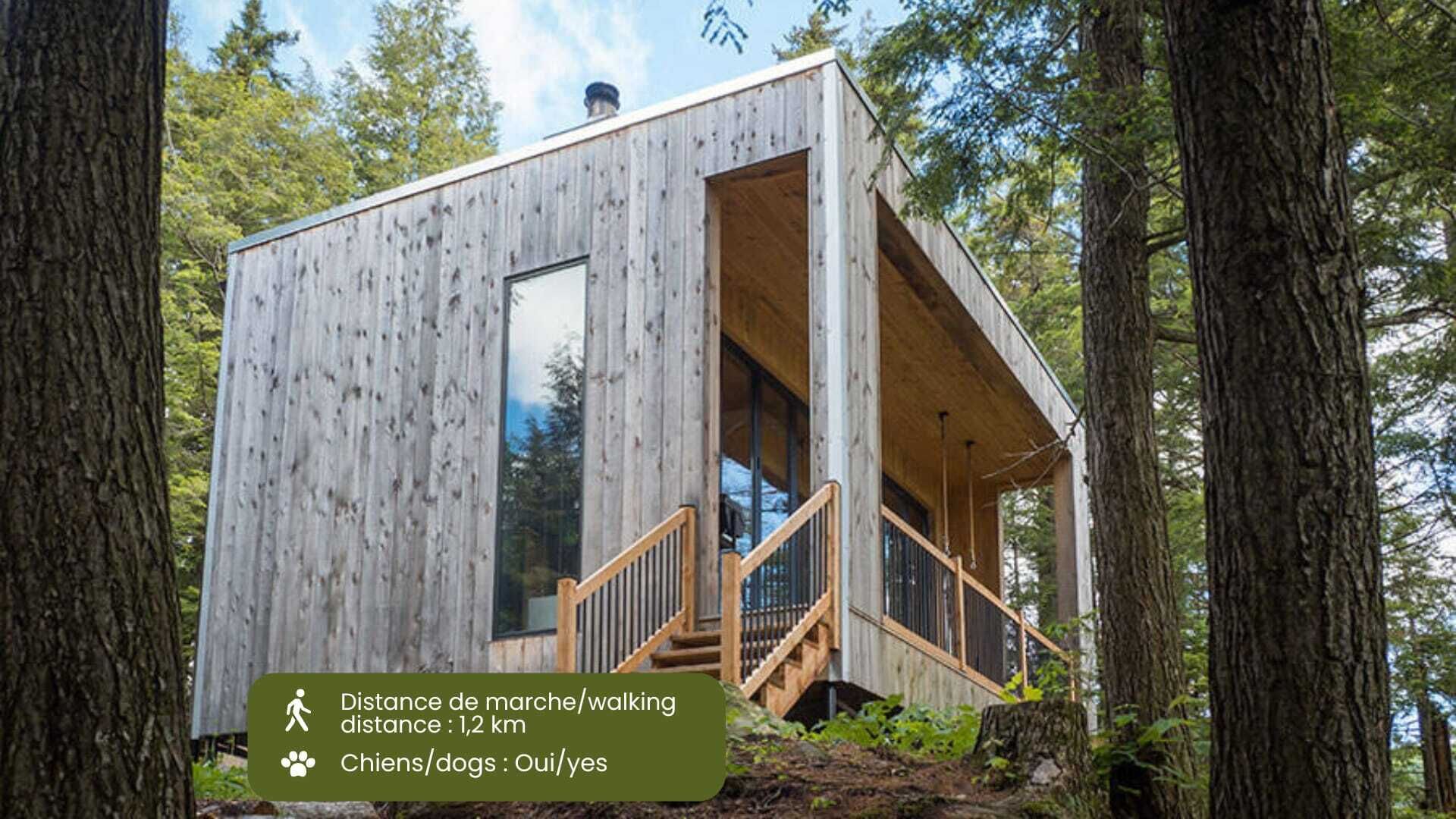 Cabin Zoobox 67 Summa