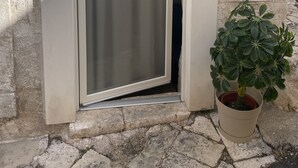 A door with a frosted glass panel, a potted plant beside it, and a stone wall in the background.