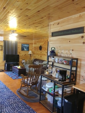 Smart TV, fireplace, DVD player, books