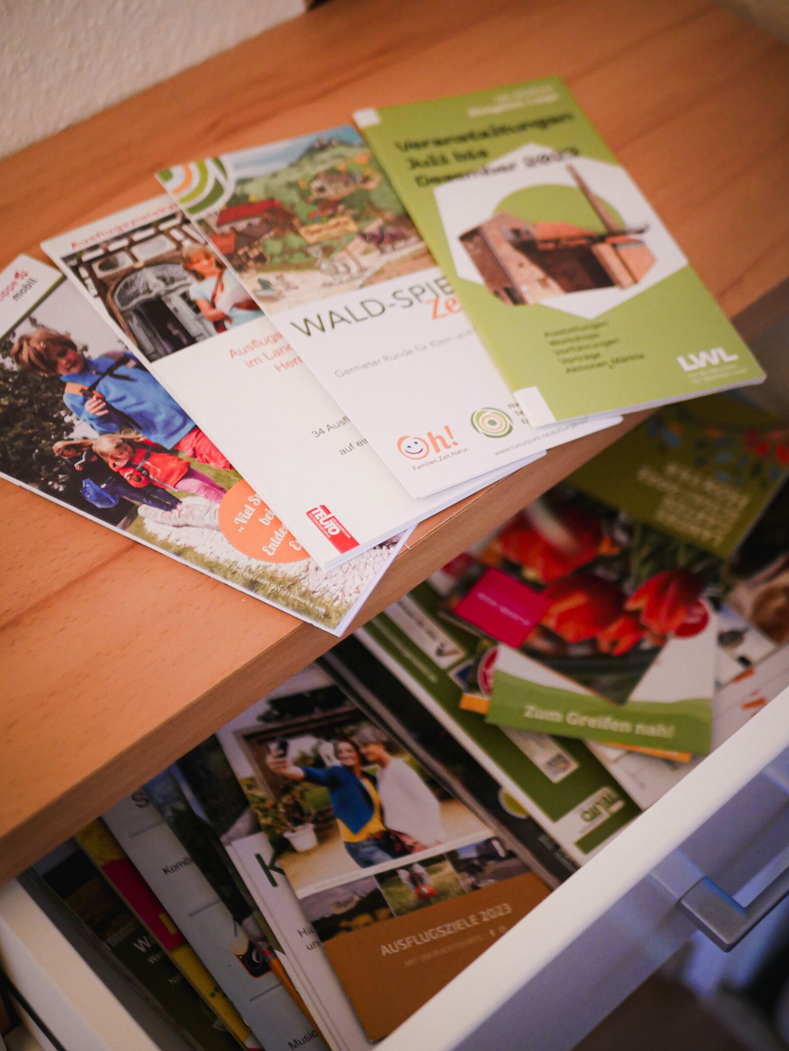 A wooden table with brochures and pamphlets, some with images of people and nature.