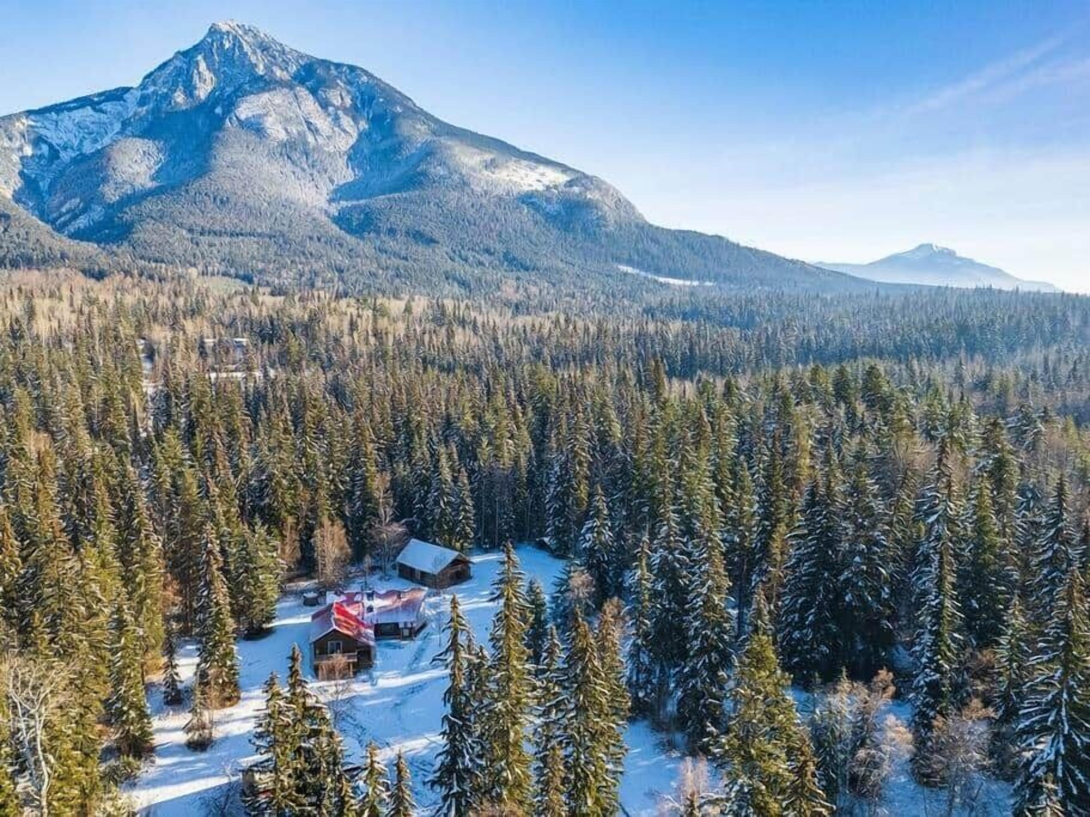 Eine Hütte, umgeben von dichtem Wald, mit einem Berg im Hintergrund.