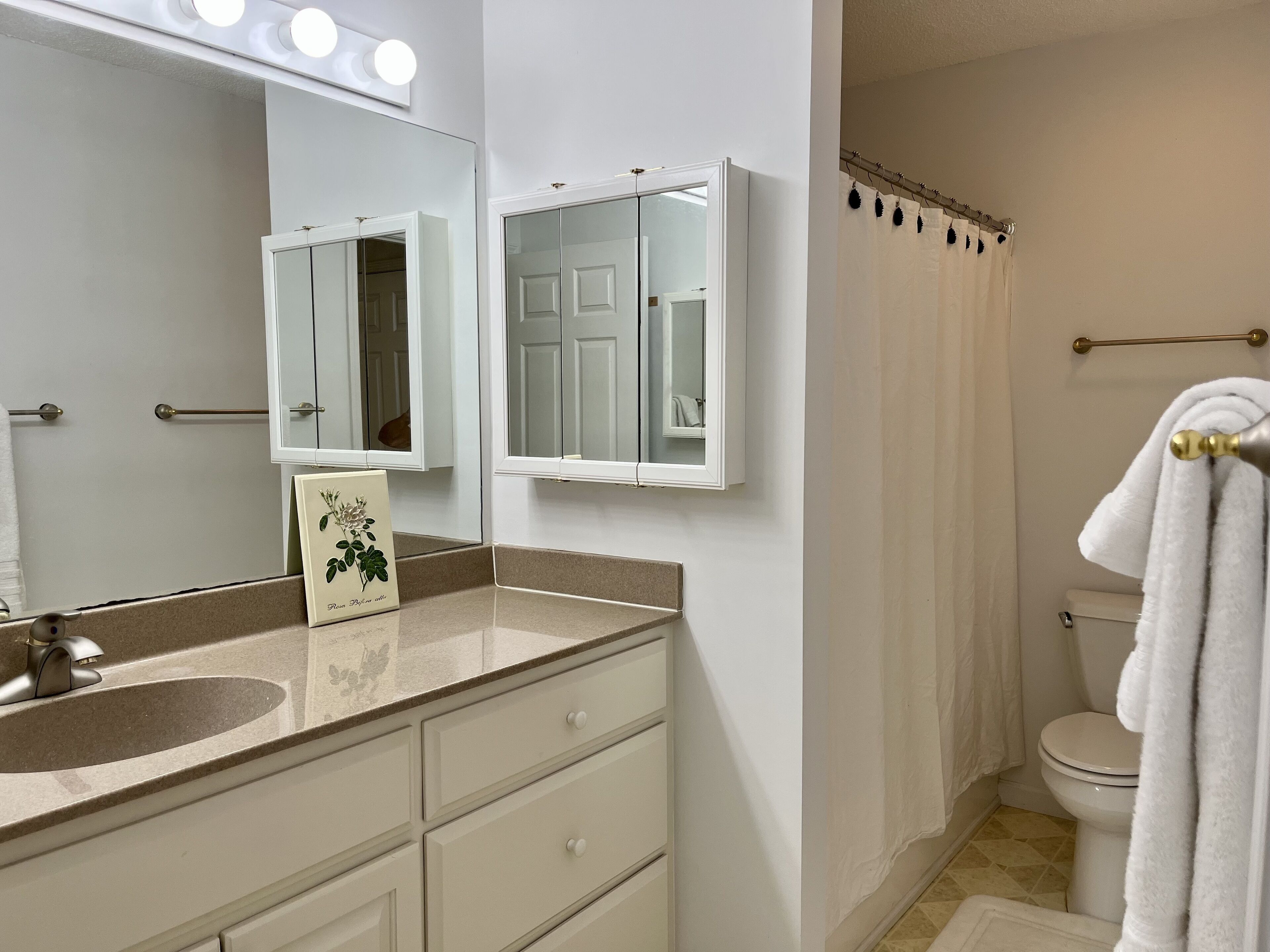 Primary Bath with Tub & Shower combo
