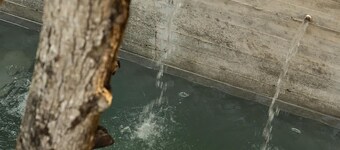 Nami - Casa Macu Saladita surf break