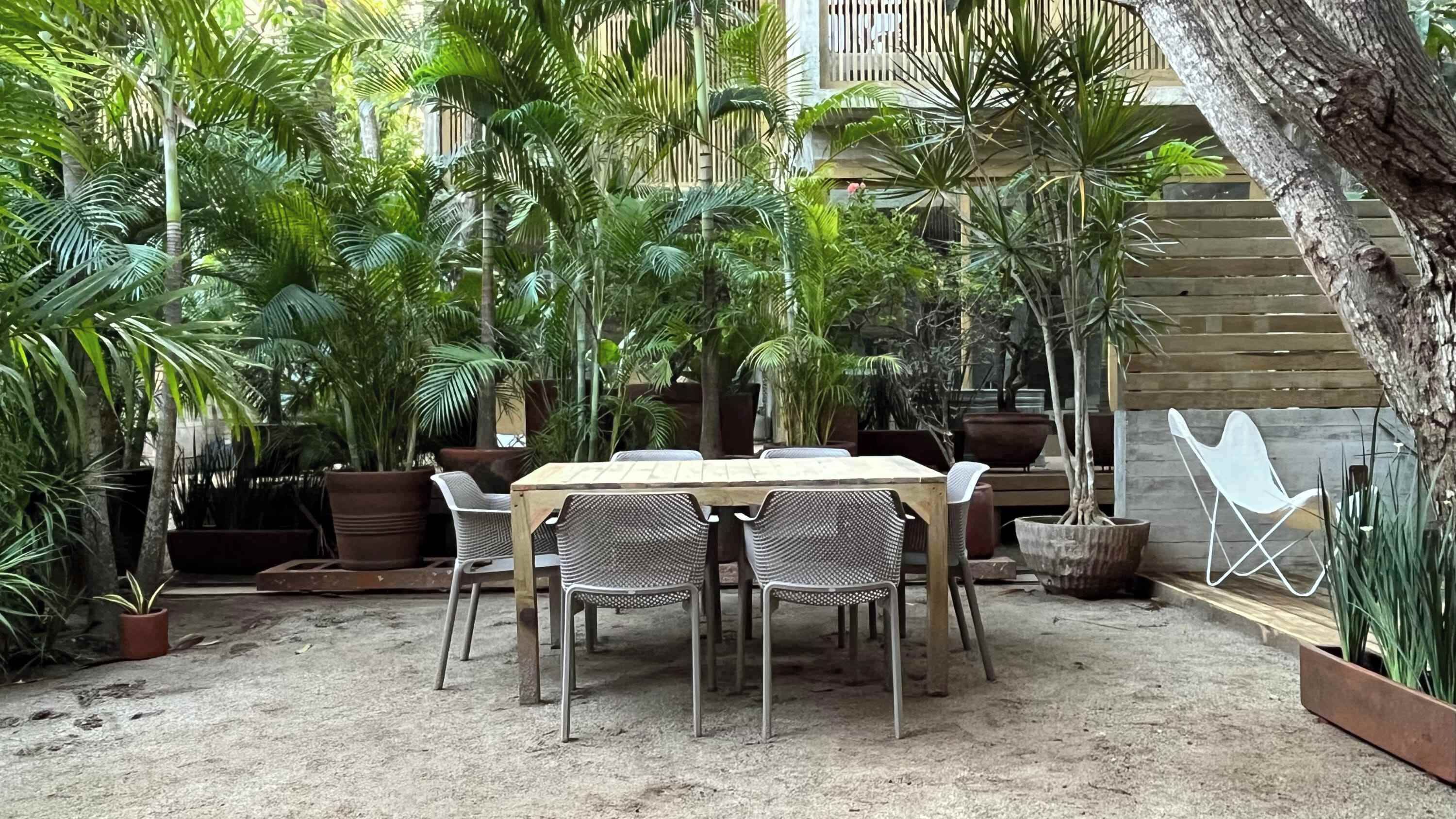 Un patio al aire libre con una mesa y sillas de madera, rodeado de plantas en macetas y árboles.