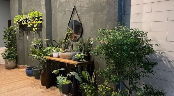 Plants thrive in this cozy space with a wooden table and shelves, a round mirror, and a brick wall.
