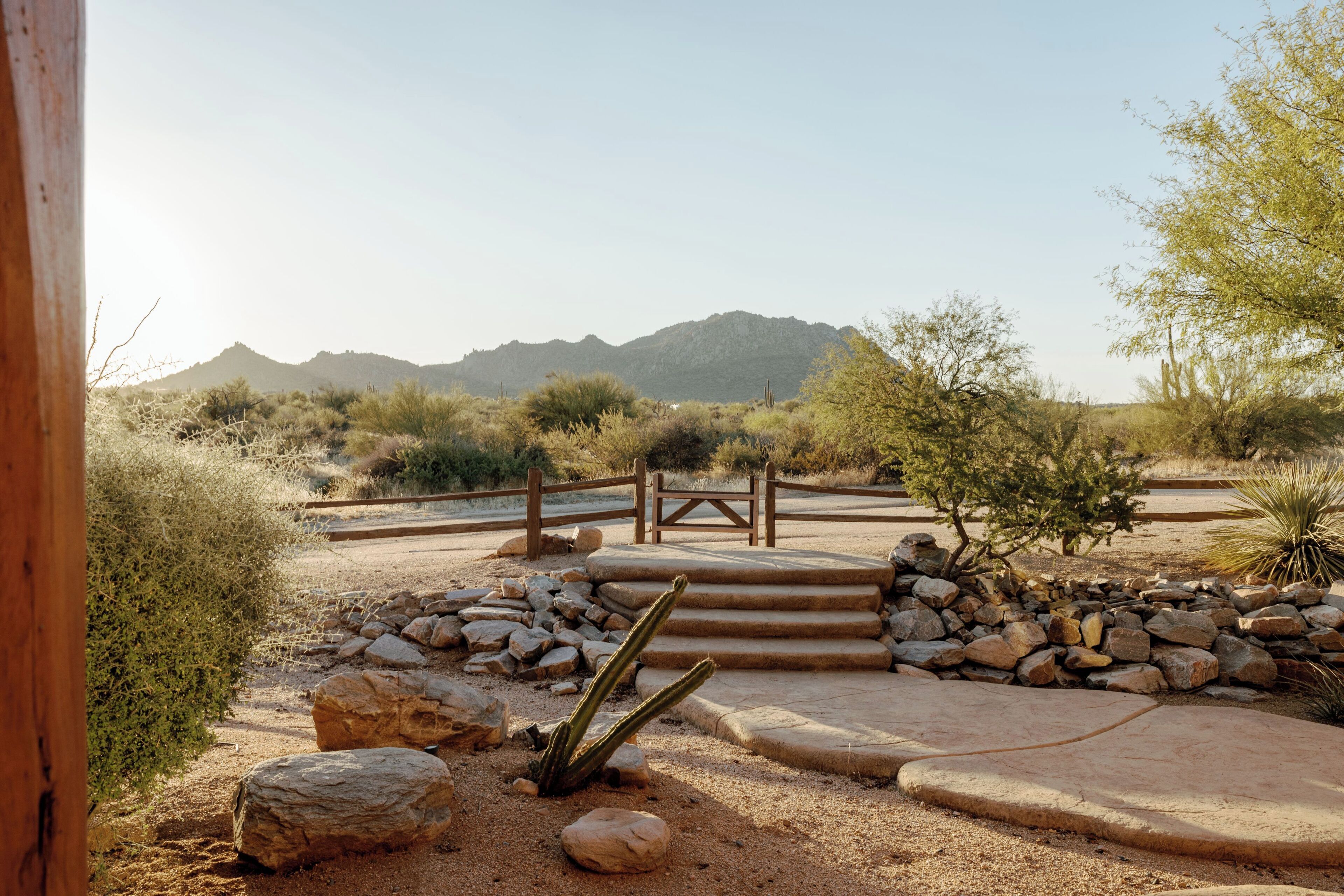 A desert landscape with a wooden bridge, stone steps, and cacti.