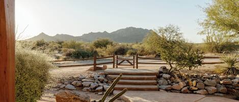 A desert landscape with a wooden bridge, stone steps, and cacti.