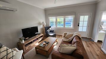 Smart TV, fireplace, books