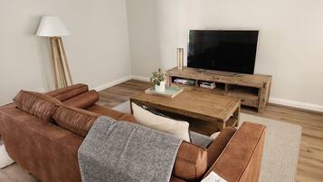 Smart TV, fireplace, books