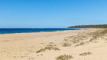 Playa en los alrededores