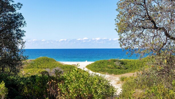 Un paisaje costero con vista despejada al océano, una playa de arena y abundante vegetación.