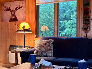 TV, DVD player, books