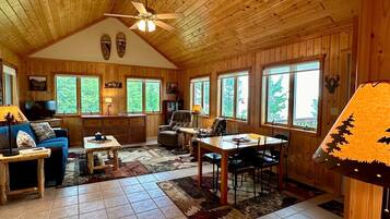 TV, DVD player, books