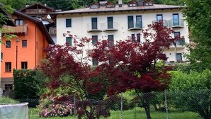 A residential building with a garden in front, surrounded by a forested hillside.