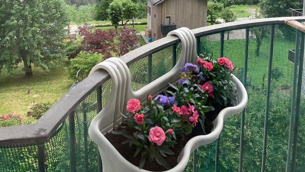 A balcony with a view of a mountainous landscape, a small building, and a garden with flowers.