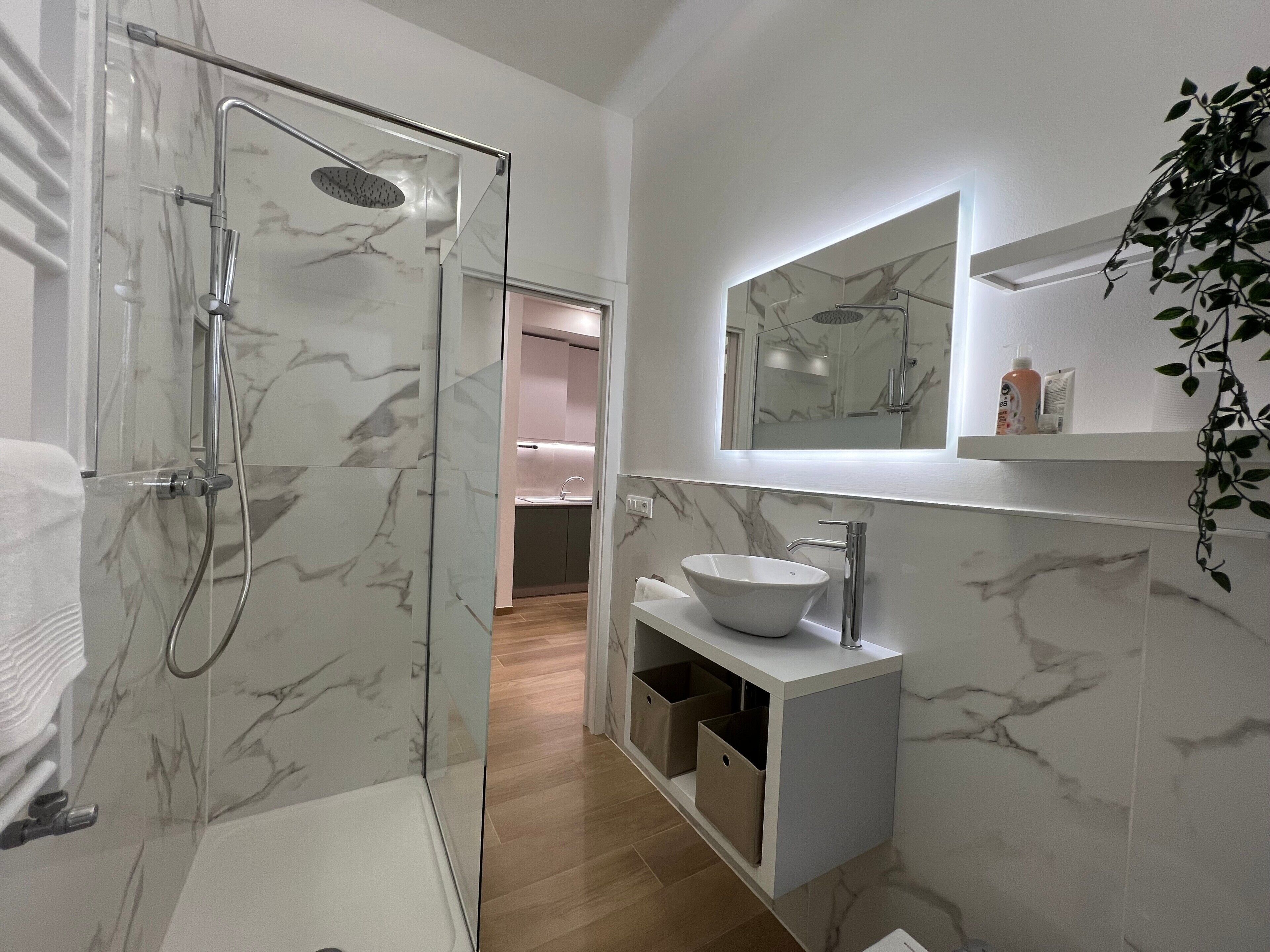 Shower, hair dryer, towels