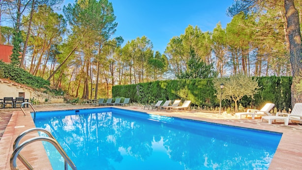 Une piscine dotée de chaises longues et offrant une vue dégagée sur les arbres.
