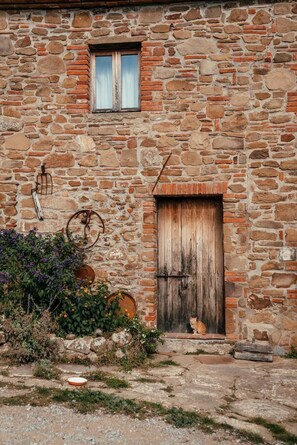 Detalle del exterior