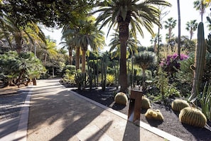 A garden with palm trees, cacti, and a gravel path.