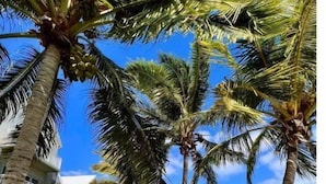 Una propiedad frente a la playa, con palmeras, piscina y un edificio de dos plantas con balcones.