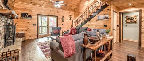 Télévision, cheminée, jeux vidéo, livres