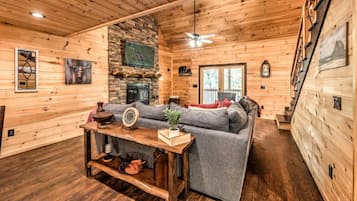 TV, fireplace, video games, books