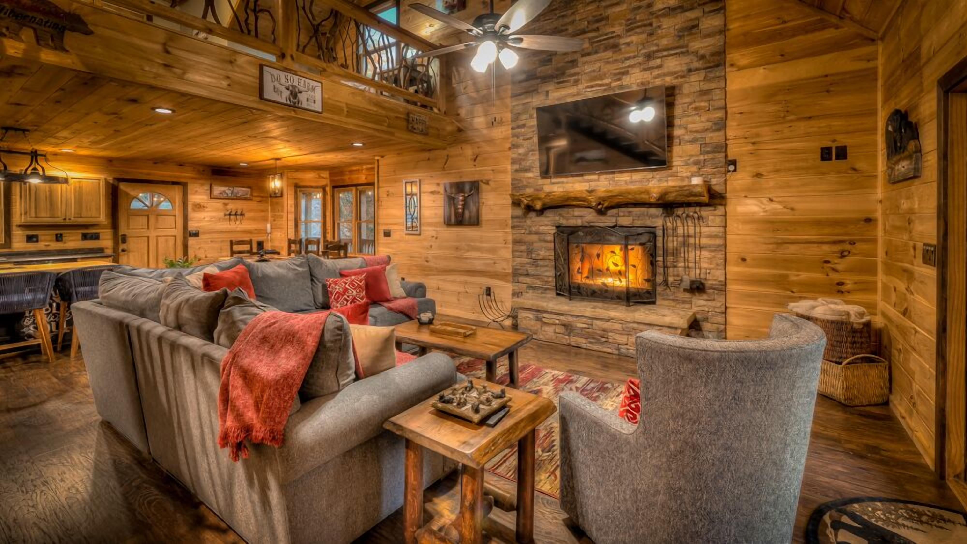 電視、壁爐、電子遊戲、書籍