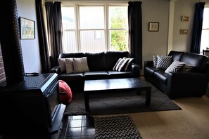 Smart TV, fireplace, books
